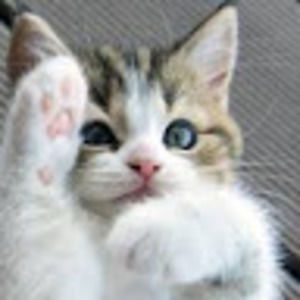 Meet your Posher, Toni